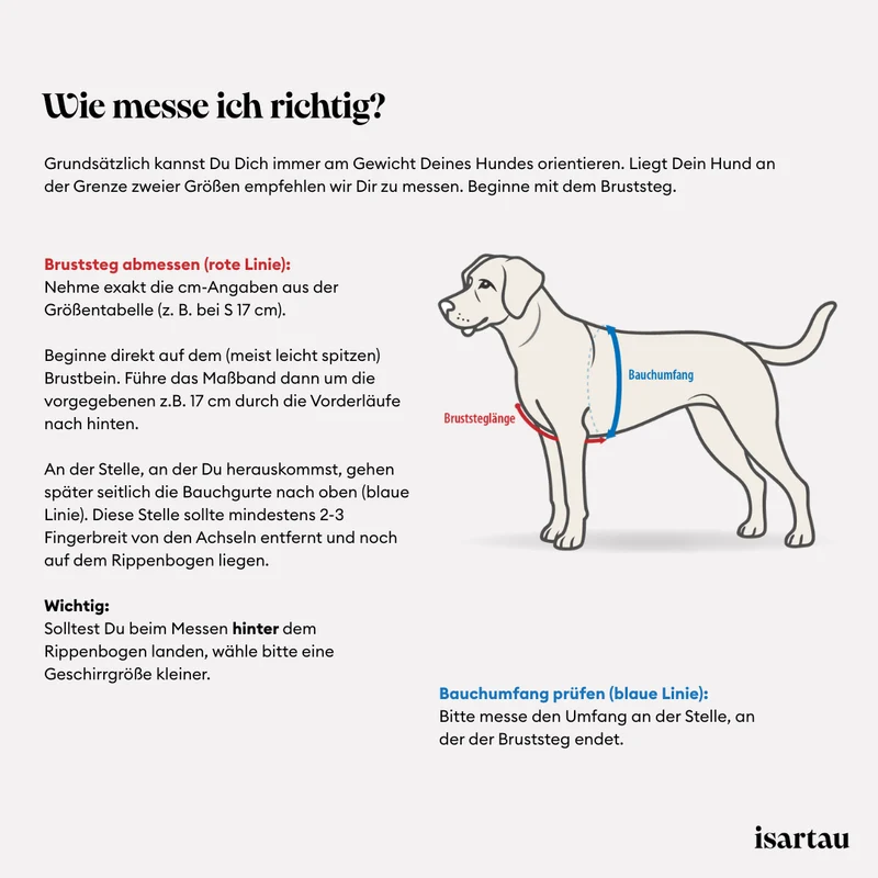 Hundegeschirr SUNNY