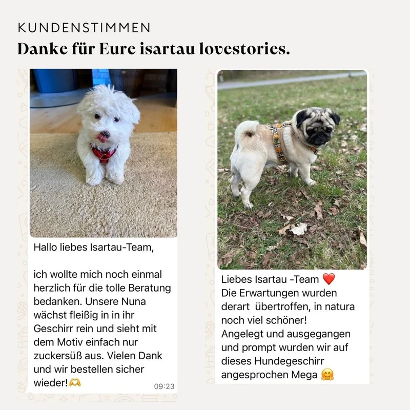 Hundegeschirr SUNNY