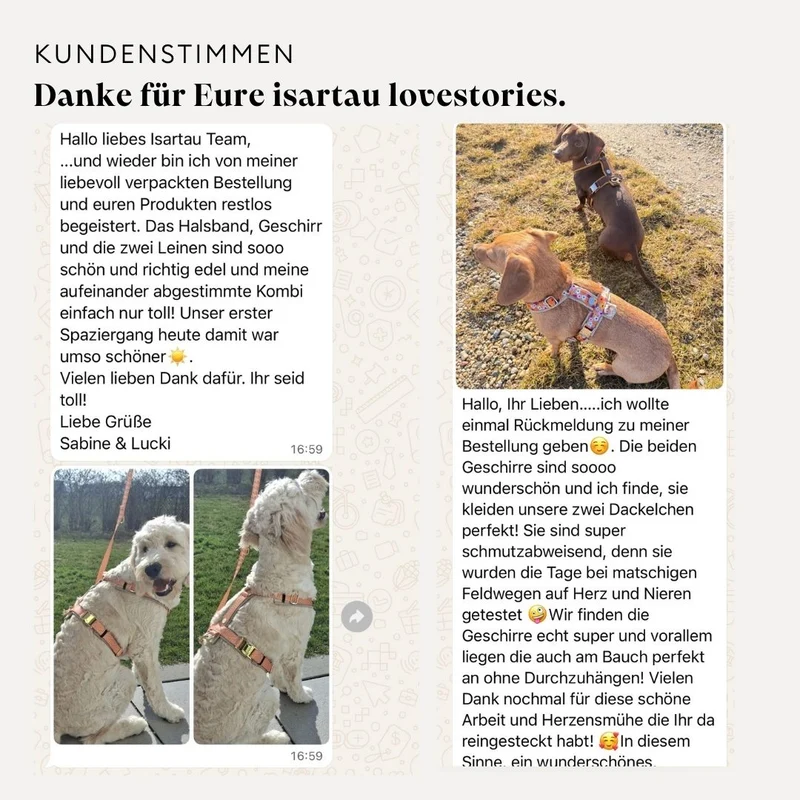 Hundegeschirr SUNNY