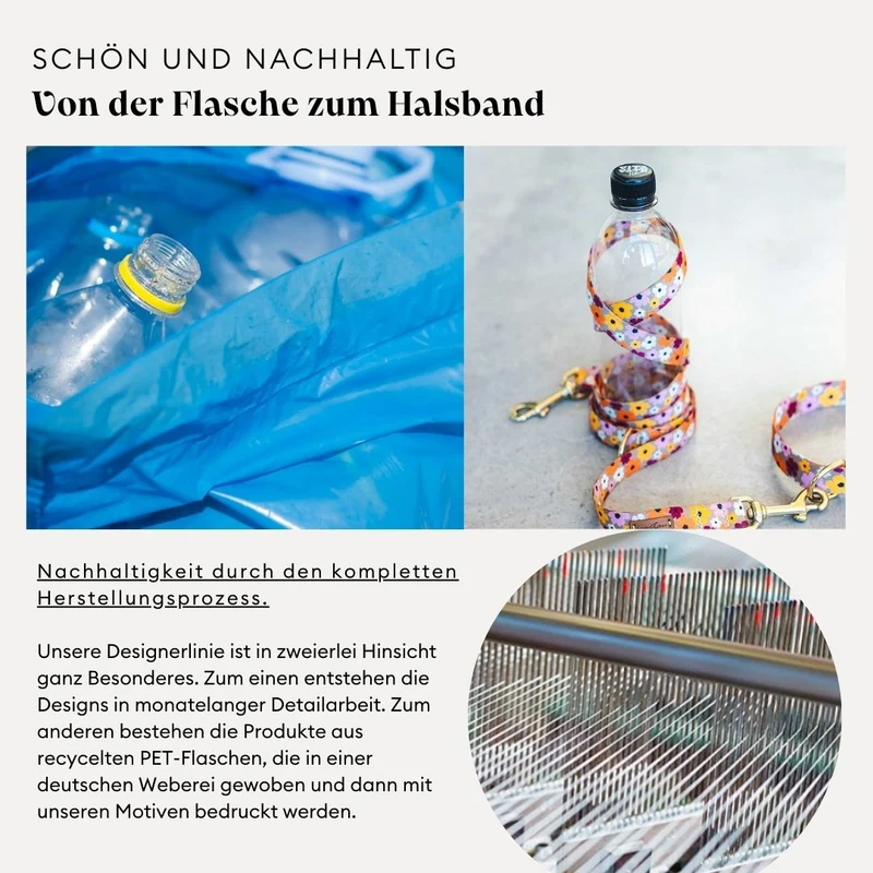 Welpenhalsband ENTDECKER