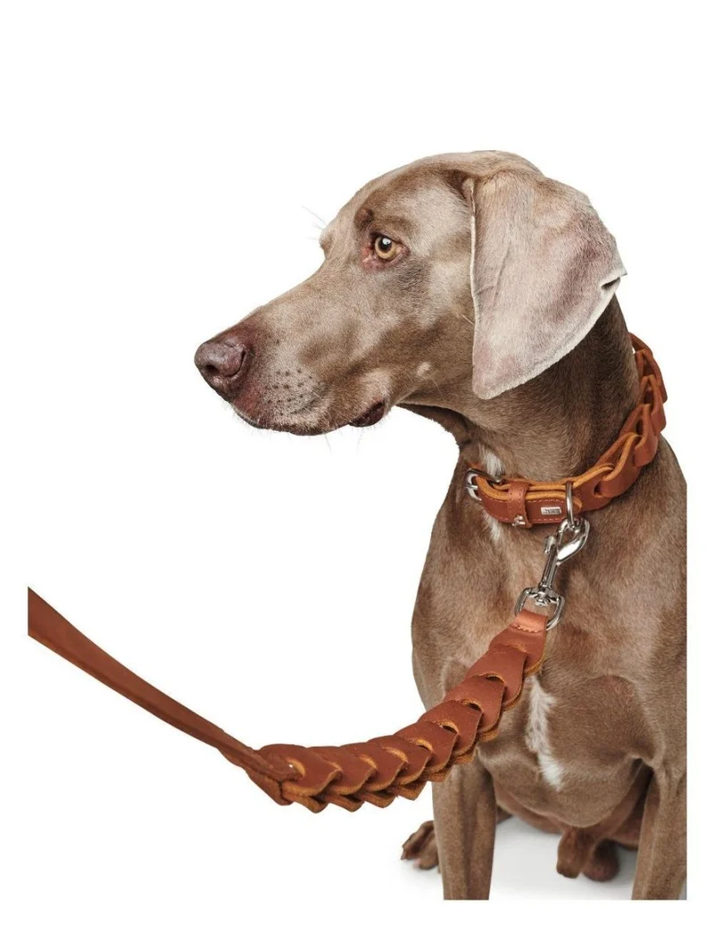 Hunter Solid Education Chain Line – Cognac / 20/120