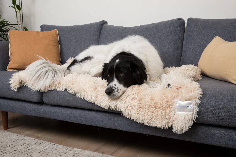 Calming Cuddle Blanket Plus+