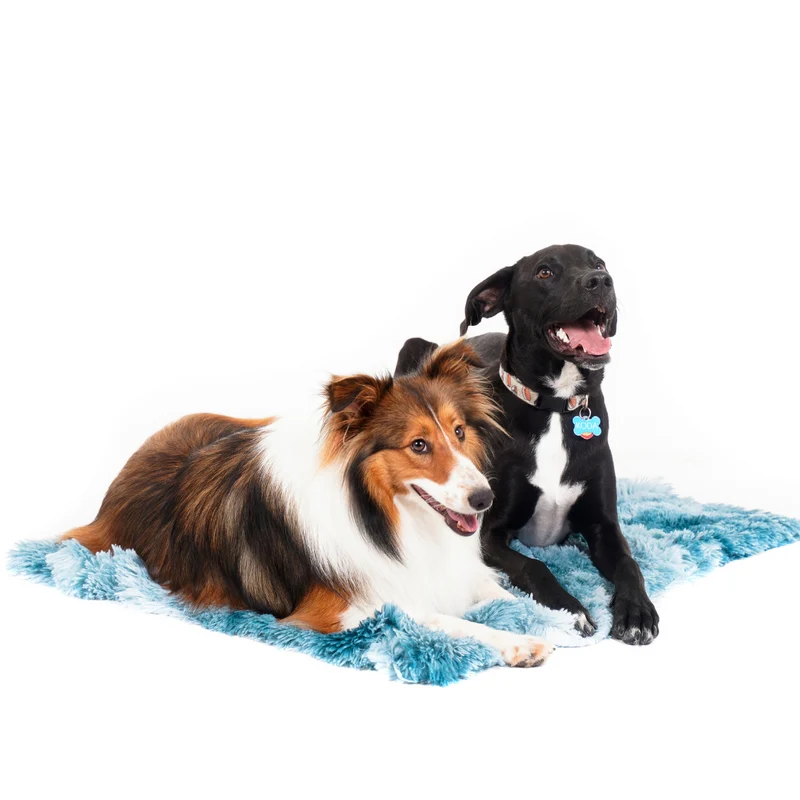 Calming Cuddle Blanket Plus+