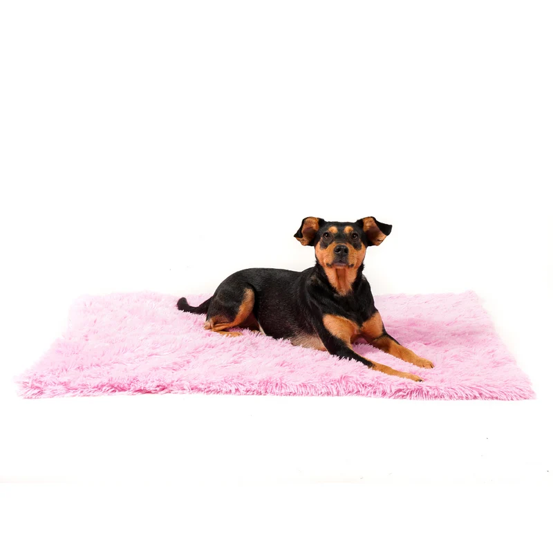 Calming Cuddle Blanket Plus+