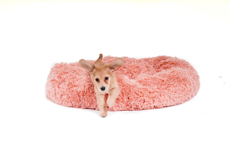 Calming Cuddle Bed Plus+