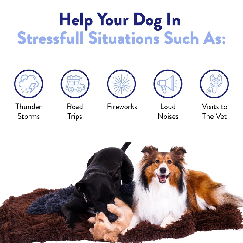Calming Zen Chews
