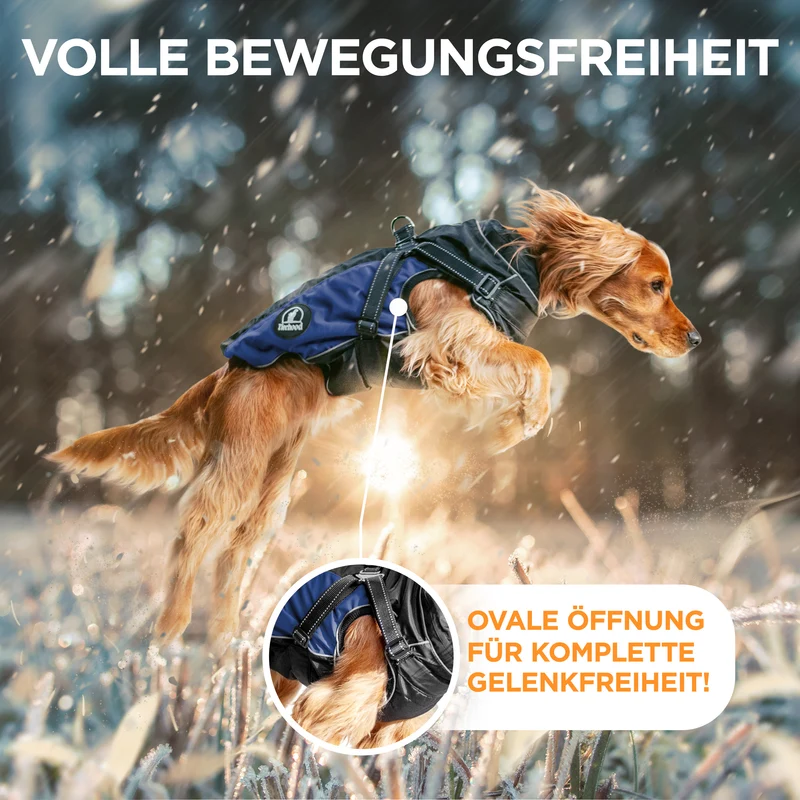 Hundemantel – Allwetter tauglich