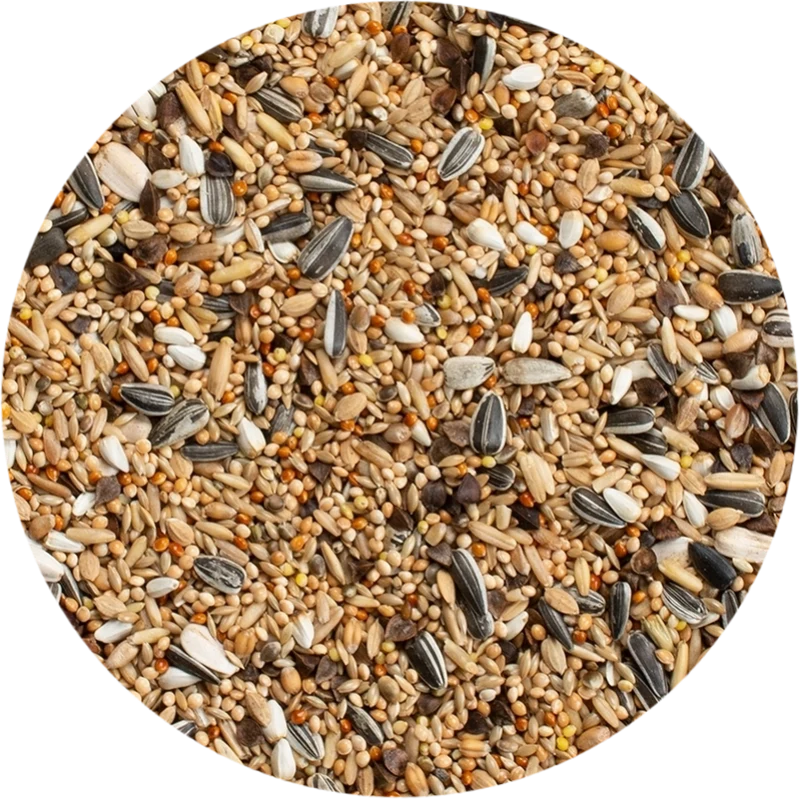 Großsittiche Standard 20kg - Deli Nature 30