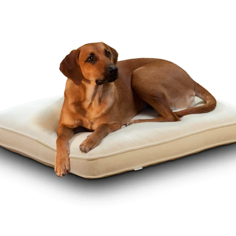 Lounge Uni Hundekissen Rechteckig