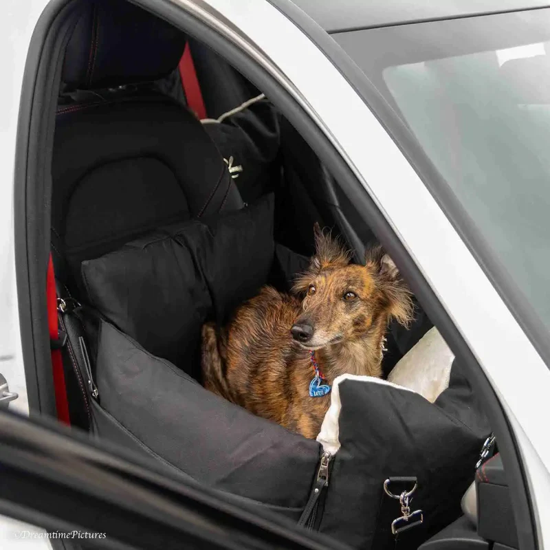 Sportive Autokissen