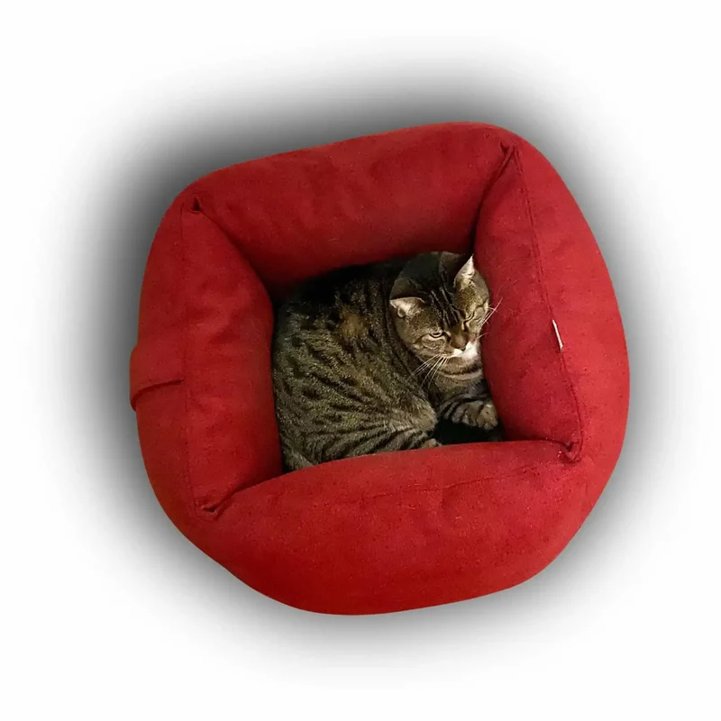 Boox Katzenbett