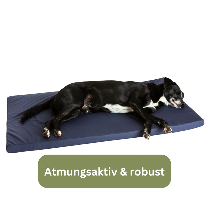 Orthopädische Hundematte Inkontinenz - Traumhund® Med