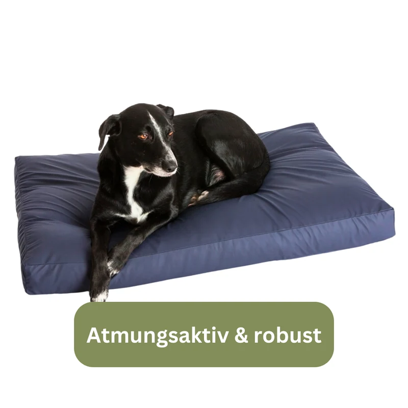 Inkontinenz-Bezug für Einlegekissen von Hundebetten - Traumhund® Med