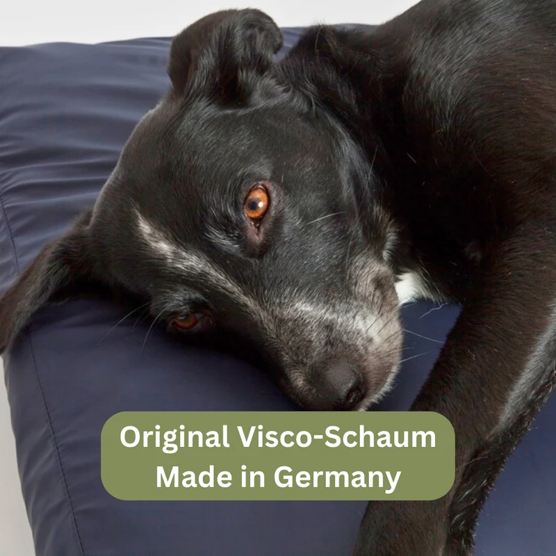 Orthopädische Hundematte Inkontinenz - Traumhund® Med