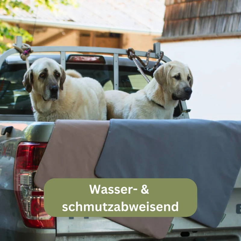 Hundedecke Thermo - Traumhund® Med