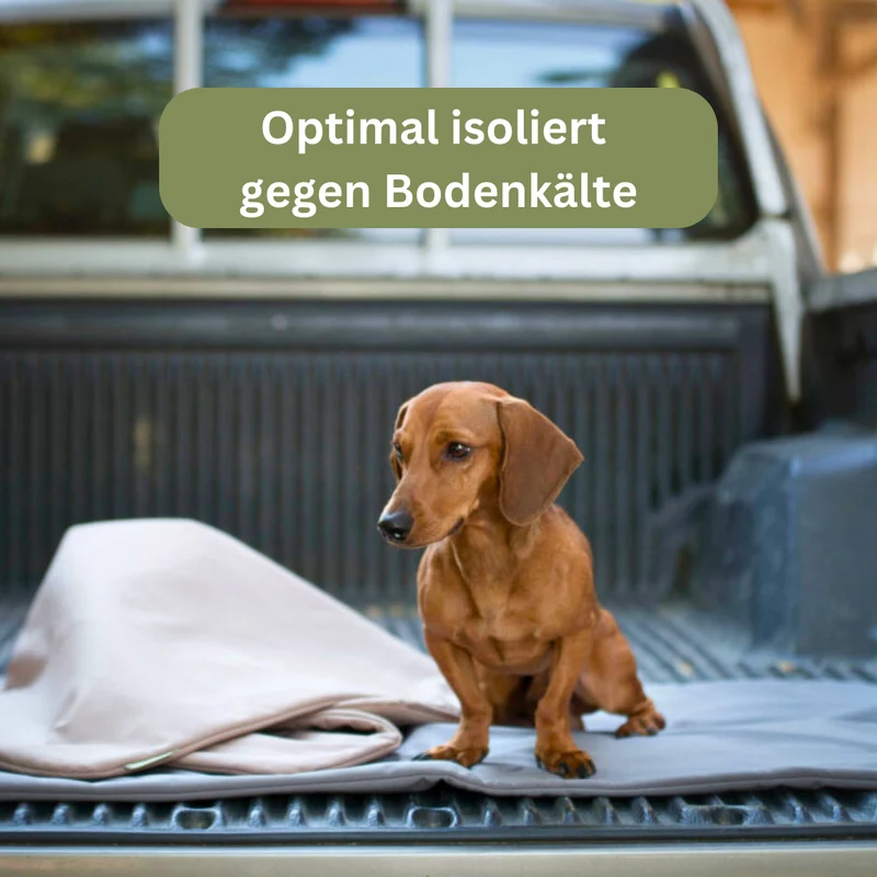 Hundedecke Thermo - Traumhund® Med