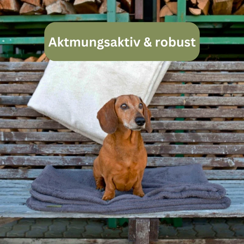 Hundedecke Protect - Traumhund® Med