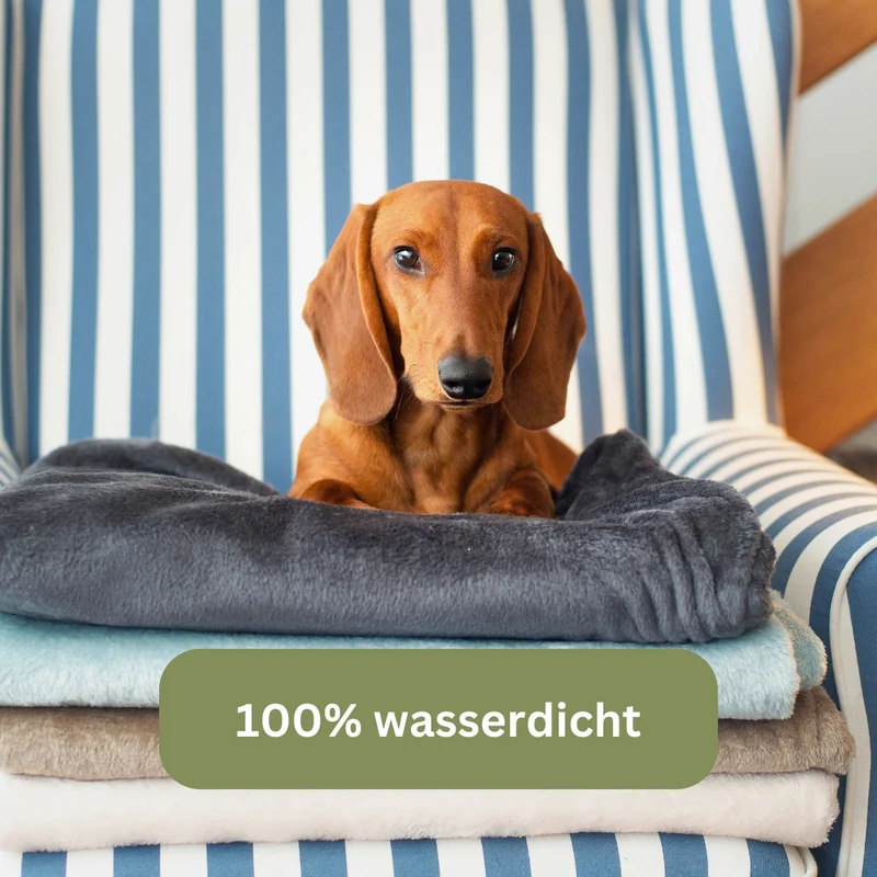 Hundedecke Protect - Traumhund® Med