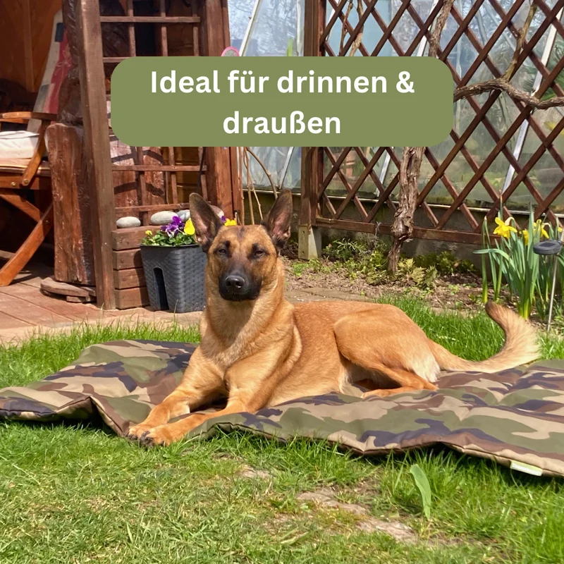 Hundedecke - Adventure