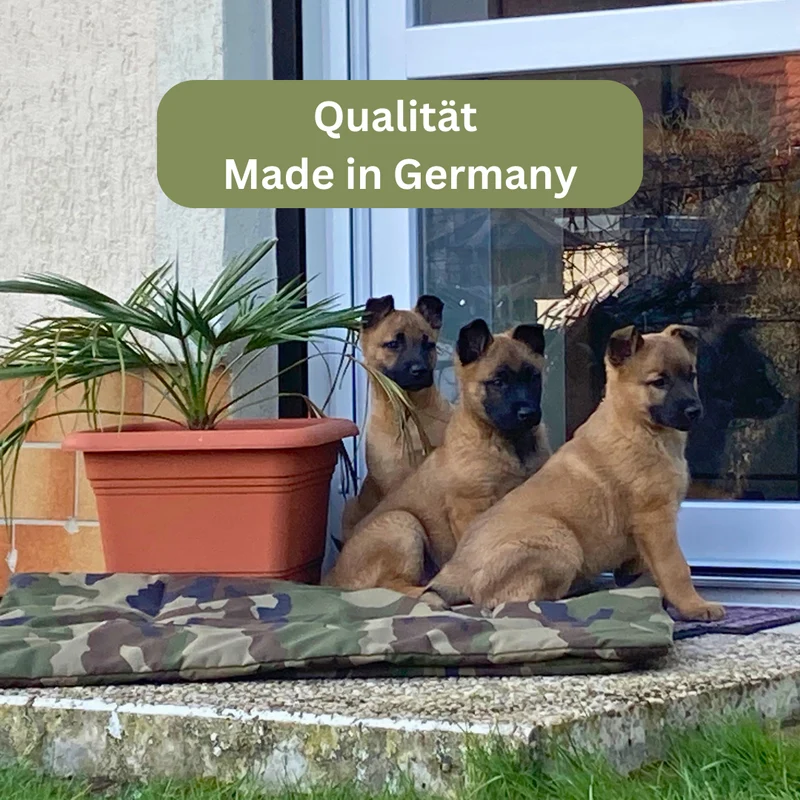 Hundedecke - Adventure