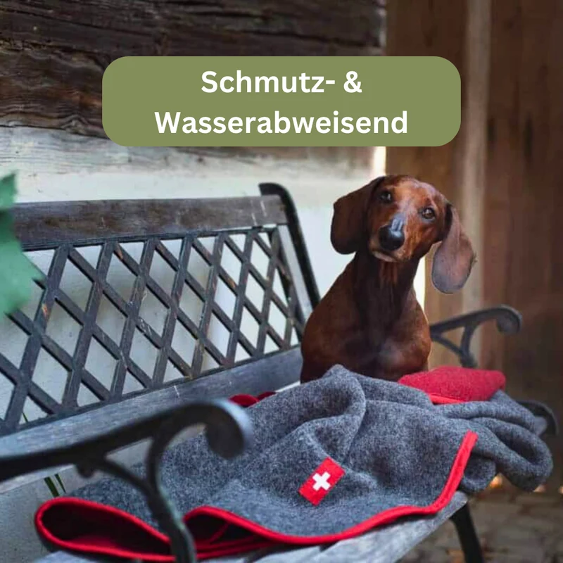 Hundedecke - Almdeckerl Loden