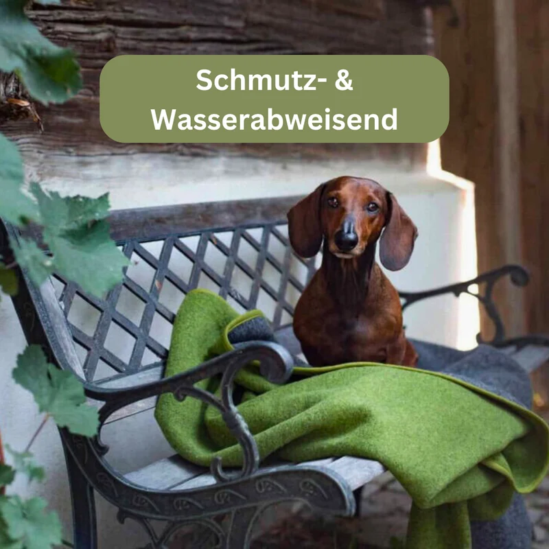 Hundedecke - Almdeckerl Loden