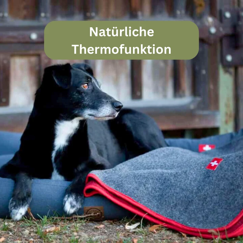 Hundedecke - Almdeckerl Loden