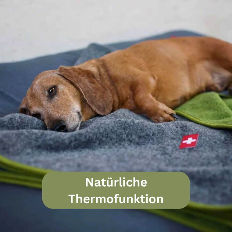 Hundedecke - Almdeckerl Loden