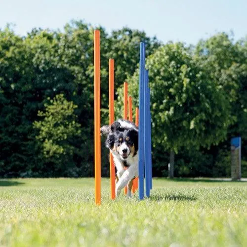 Trixie 12 Agility Slalomstöcke 115cm