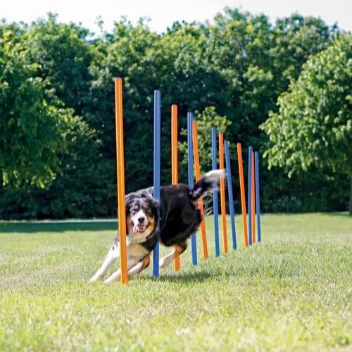 Trixie 12 Agility Slalomstöcke 115cm