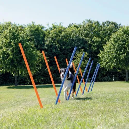 Trixie 12 Agility Slalomstöcke 115cm