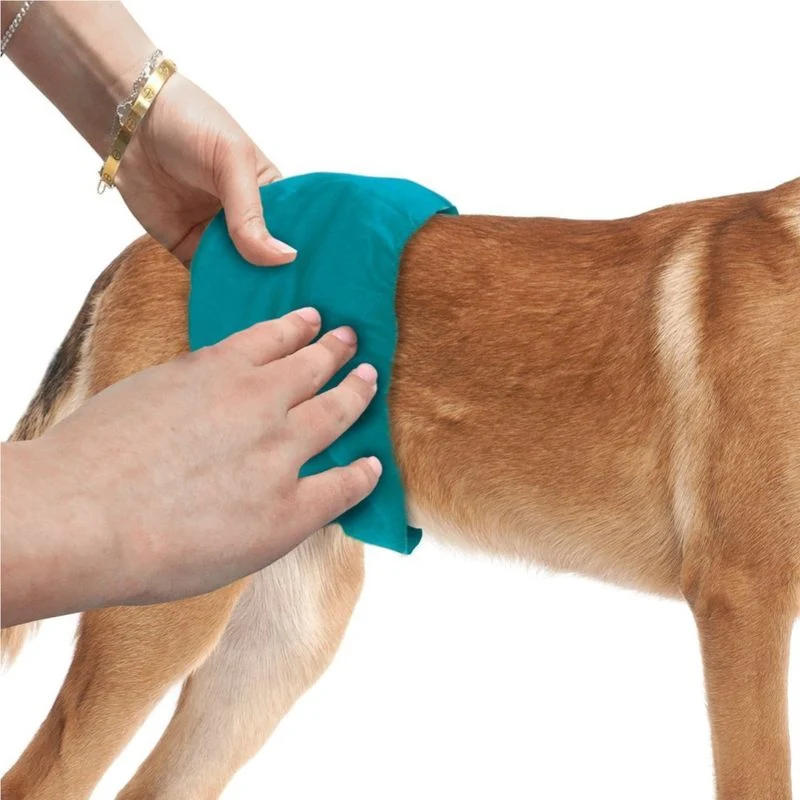 Simple Solution Waschbares Bauchband für Rüden - M