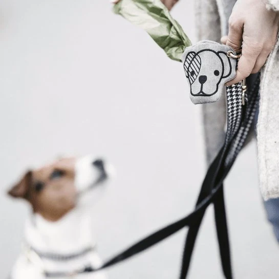 Kentucky Dog Pooh hinten
