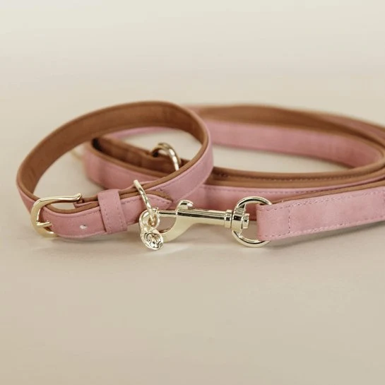 Kentucky Hundehalsband Veganes Leder - Pfirsich/Braun