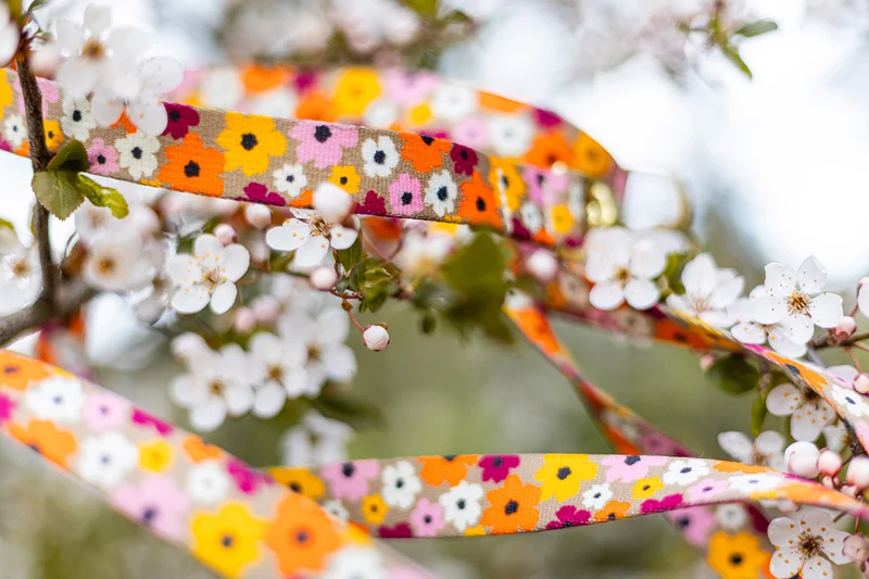 Designerleine BLUMENMEER, 250 cm (Umhängeleine)