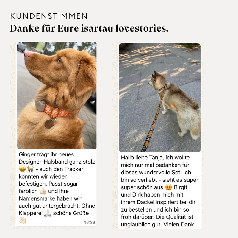 Welpenhalsband ENTDECKER