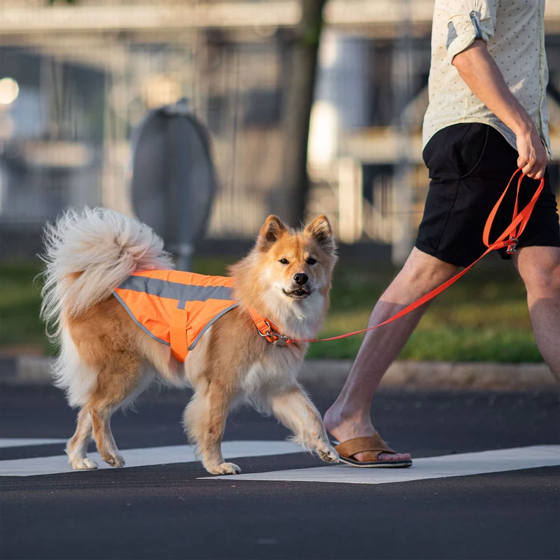 Hundewarnweste Neonorange