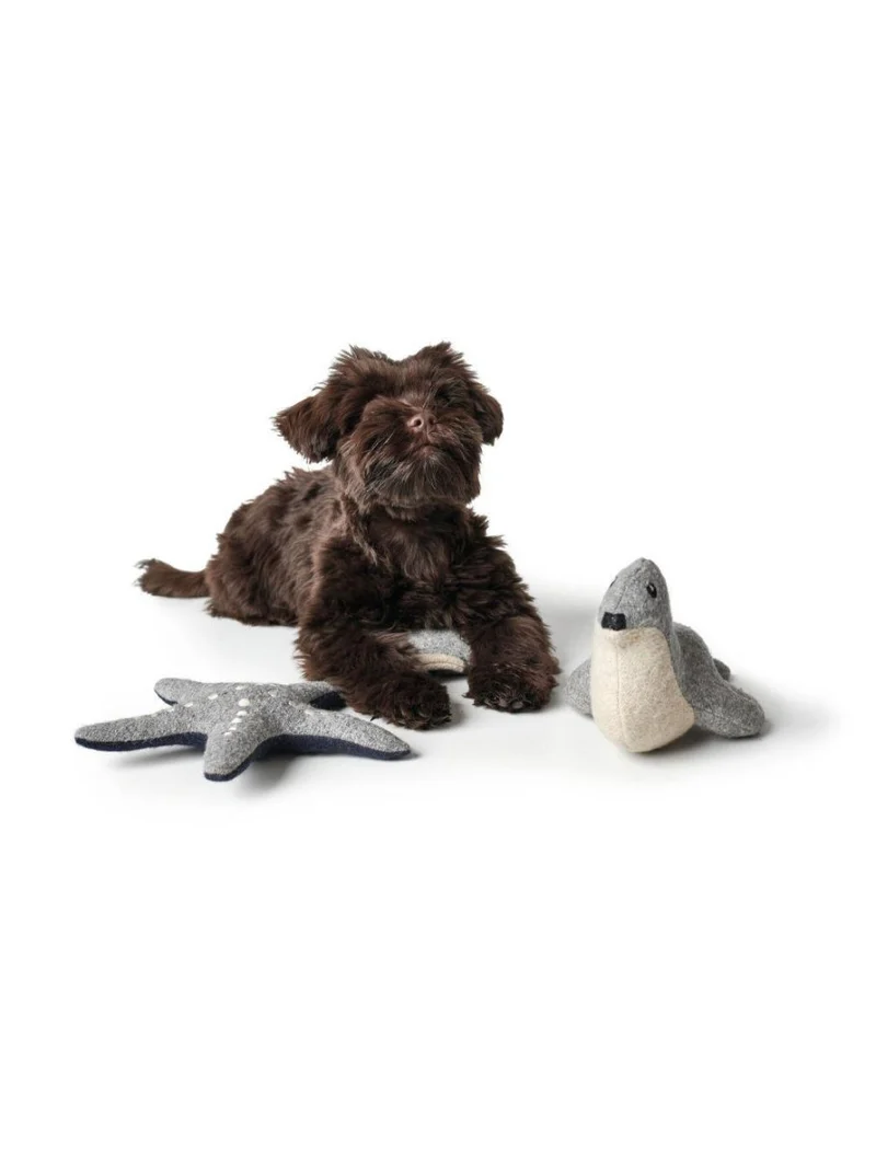 Hunter Skagen Toys Seestern