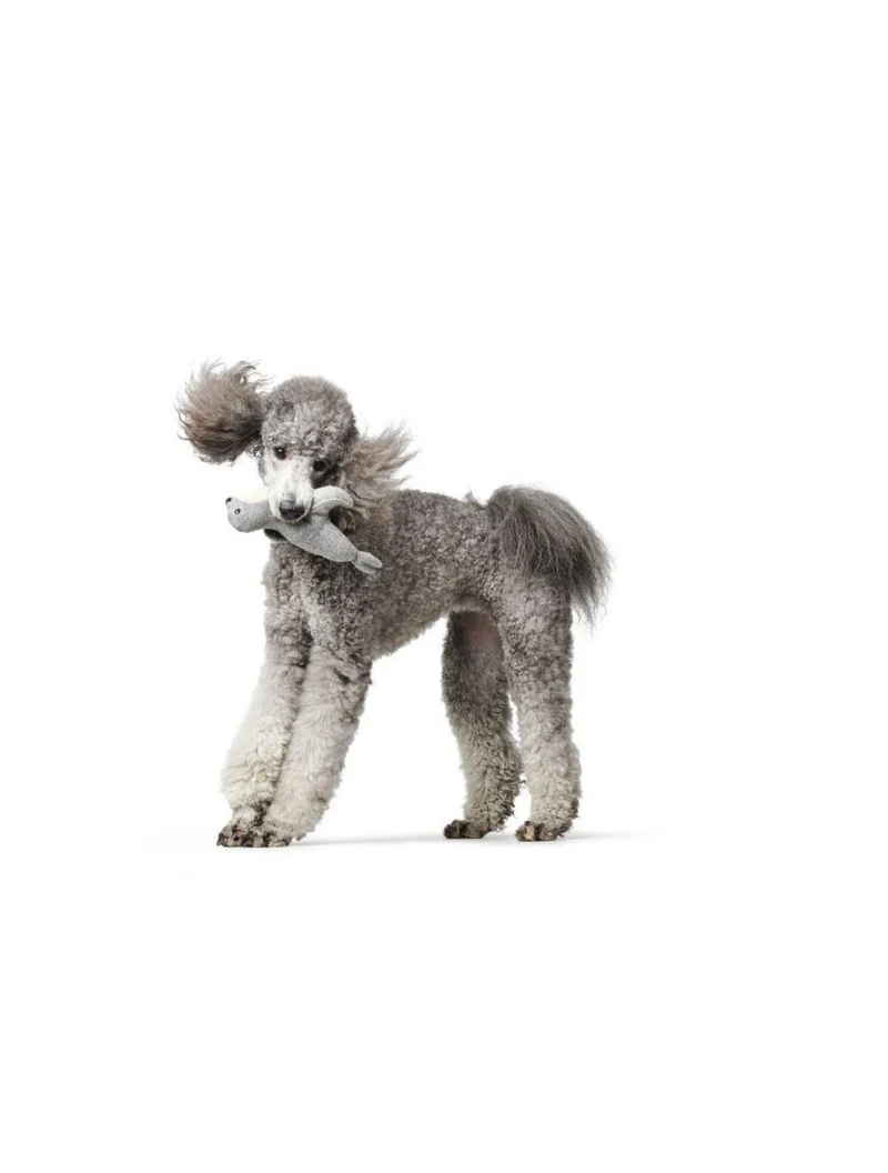 Hunter Skagen Toy Seal