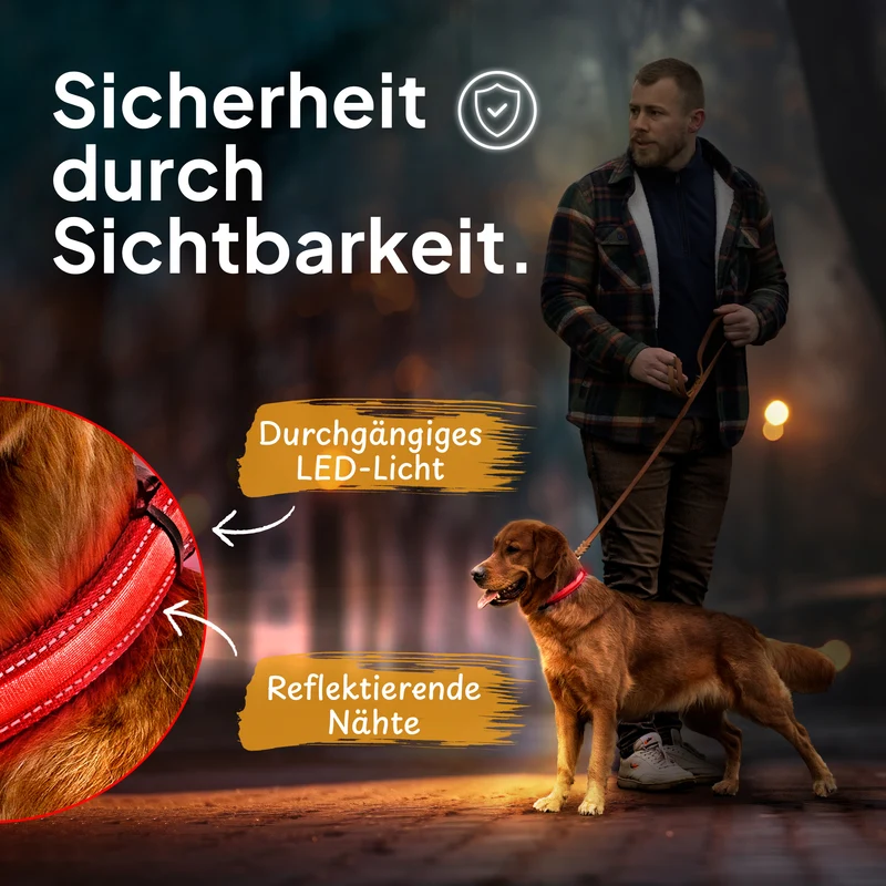 Leuchthalsband LED