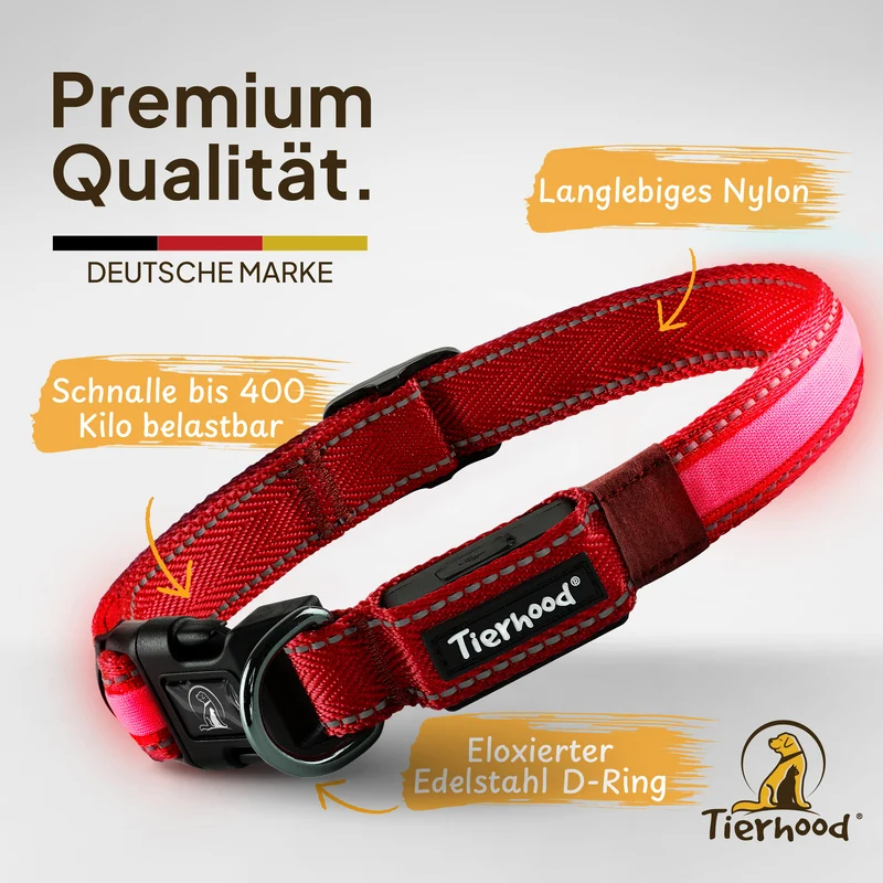Leuchthalsband LED