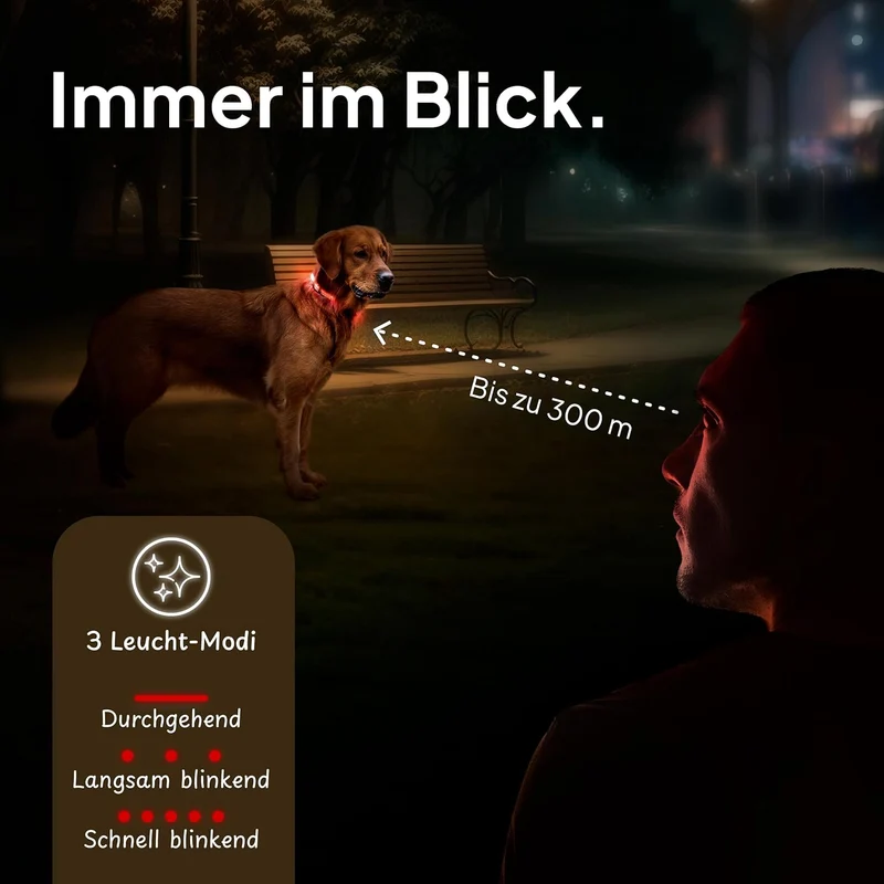 Leuchthalsband LED