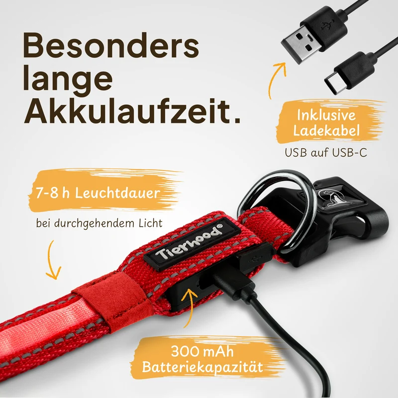 Leuchthalsband LED