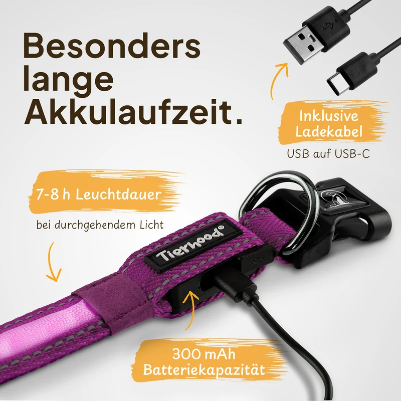 Leuchthalsband LED