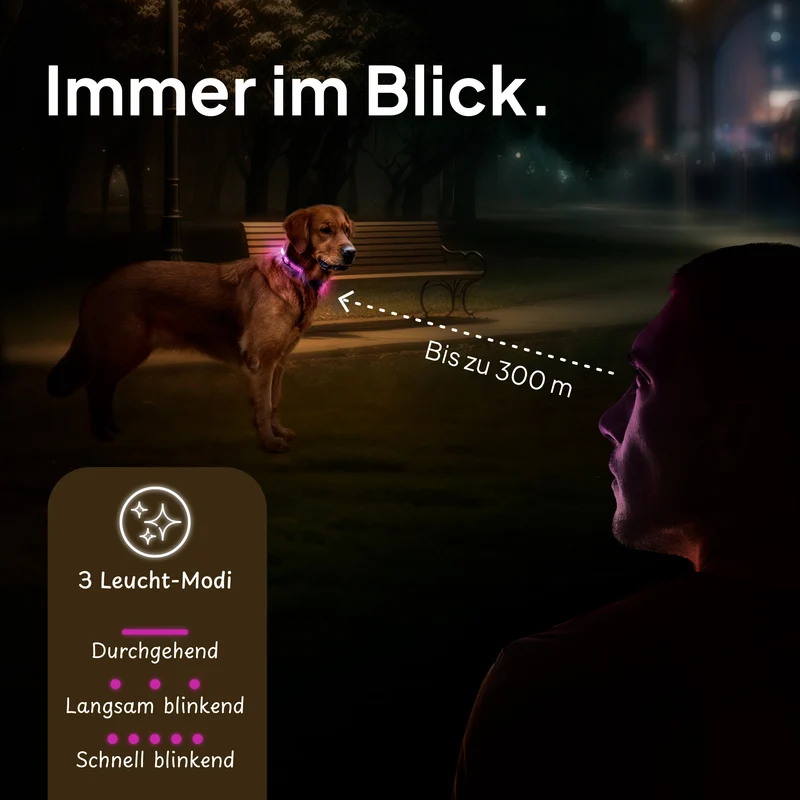 Leuchthalsband LED