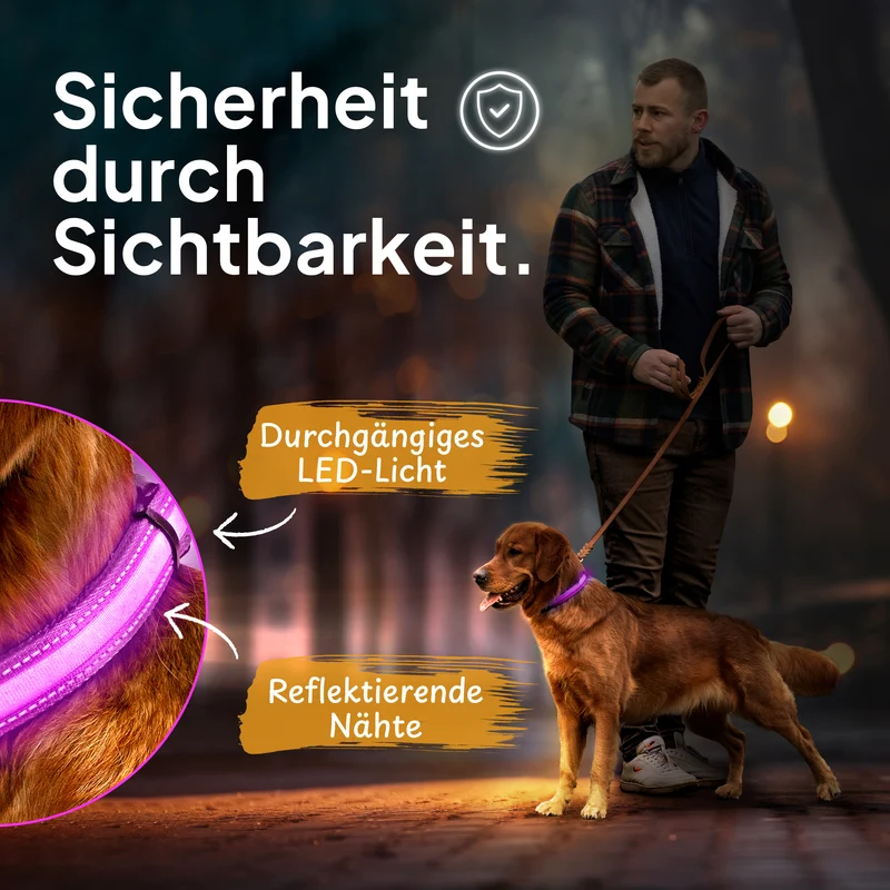 Leuchthalsband LED