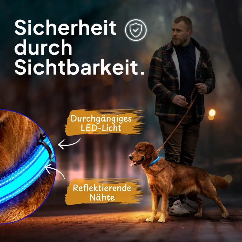 Leuchthalsband LED