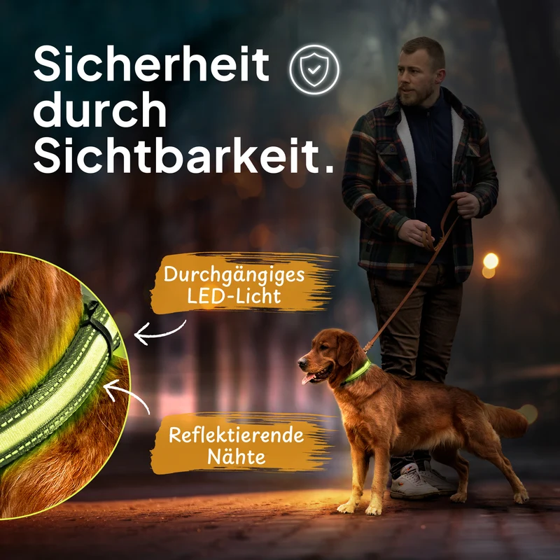 Leuchthalsband LED