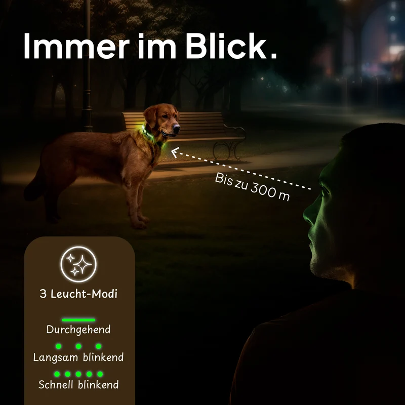 Leuchthalsband LED