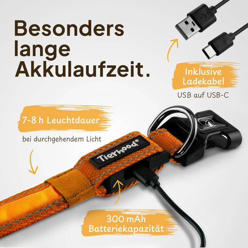 Leuchthalsband LED